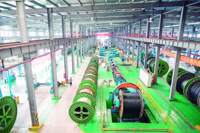 新质浙商 | 28圈电缆：向“百年28圈”进发